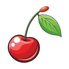 a cherry in white background