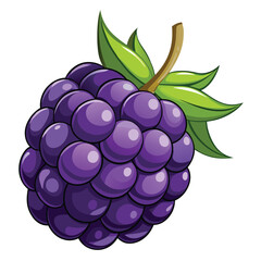 a cucumber in white background