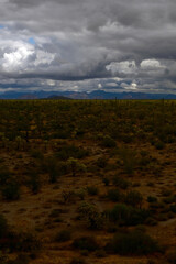 Clouds Over Central Sonora Desert Arizona