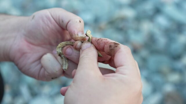 Preparing for Fishing Trip &ndash; Man Carefully Places Worm on Hook by Water