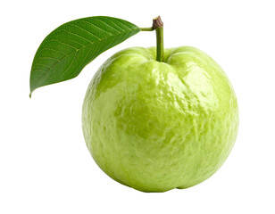 Ripe green guava with stem and single leaf