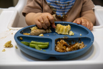 Toddler Eating from Divided Plate Close Up