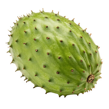 A whole barbadine fruit isolated on a transparent background