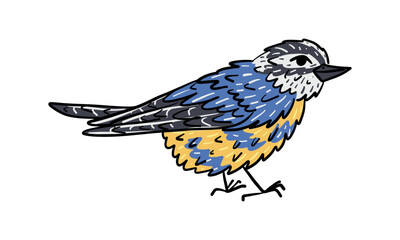 Hand-drawn bird with black outline, color illustration of fluffy yellow-blue bird. The bird is standing sideways. isolated wildlife object, perfect for stickers, prints, textiles, naturalistic designs