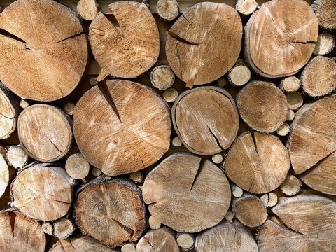  Log slice wall or stump wall, offers incredible texture, warmth, and depth. The composition is filled with circular log cross-sections of various sizes, creating a natural, repeating pattern.