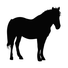 Horse Silhouette Design. Animal Illustration