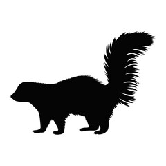 Skunk Silhouette Design. Wildlife Concept in Black