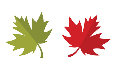 Autumn leaf icons, Foliage of maple symbol. National Canadian emblem. Set of colourful maple leaf designs isolated on white background. Vector illustration.