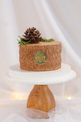 christmas brown cake decorated. with branches and cone. chocolate tasty treat for celebration. white background