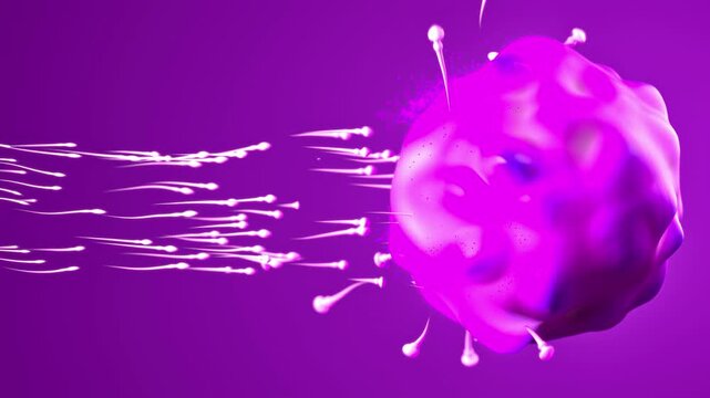 Looped 3D animation of bright white sperm-like particles moving dynamically toward an amorphous magenta ovum form. Smooth motion, vibrant colors, and stylized biological symbolism make it suitable for