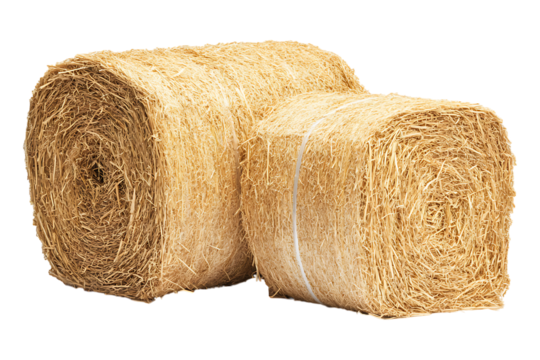 hay bale isolated on transparent background - Powered by Adobe