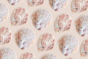 Minimal style pattern seashell ivory blue colored on beige background Natural clams, Shells of mollusk, summer nautical life style, beauty nature, organic shapes, repeat composition, pastel color