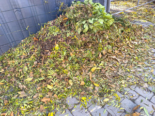 Pile of old leaves for recycling in the park