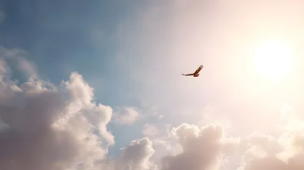 An eagle or hawk with wings outstretched glides through a vast open sky under bright sunlight surrounded by soft illuminated clouds suggesting ambition and wild freedom © pkproject