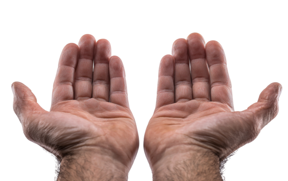 Two open human hands palms facing forward showing skin texture and lines isolated on transparent background - Powered by Adobe