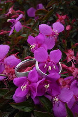 Joyas entre pétalos de flores moradas