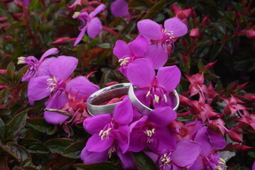 joyas de bodas entre flores moradas