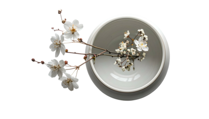 White blossom sprig in white ceramic bowl, dark background