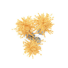 3d illustration of Fouquieria-columnaris plant isolated on transparent background from top view