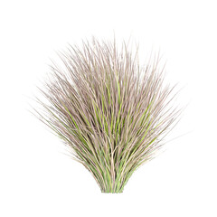 Obraz premium 3d illustration of Red tussock grass isolated on transparent background