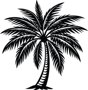 Isolated black plam tree icon Vector, black plam tree Silhouette,black plam tree icon