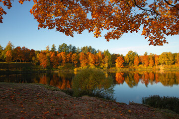 Obraz premium Bright sunny autumn landscape . Autumn picture. Photo for the autumn calendar. High quality photo