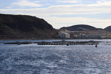 To help restoring and rehabilitating marine ecosystems: aquaculture fish farming with large floating cages in coastal seawaters (Palm-Mar, Ternerife, Spain)
