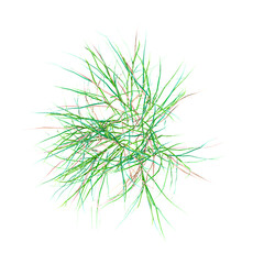 Top view of green grass on transparent canvas
