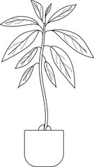 Naklejka premium Coloring page with avocado plant (Persea americana) in a pot isolated on white background 
