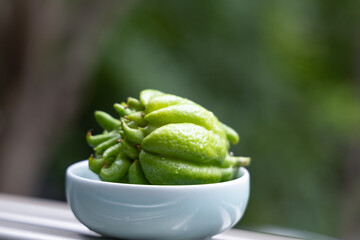 Close-up of Buddha's Hand Citron, Characteristic Plant Landscape