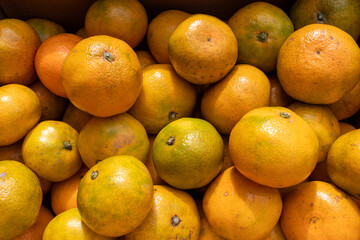 日本の産地直送みかん