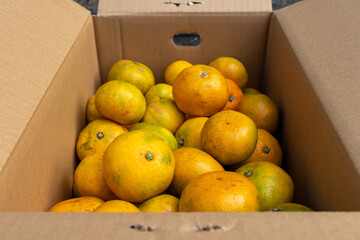 日本の産地直送みかん