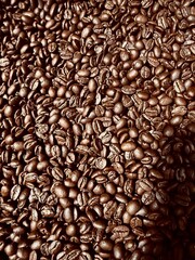 Close-Up View of a Dense Arrangement of Roasted Coffee Beans in Rich Brown Color and Texture