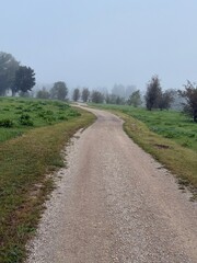Fototapeta premium country road in the field