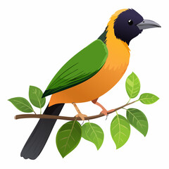 Magnifique oiseau tropical sur sa branche, isolé sur fond blanc, coloré vert, jaune, violet