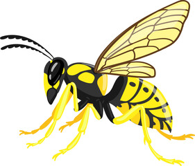 Wasp flying insect cartoon illustration on white background