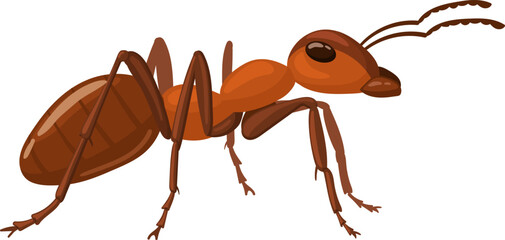 Brown ant creature walking isolated on white background