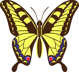 Swallowtail butterfly drawing with yellow and brown wings