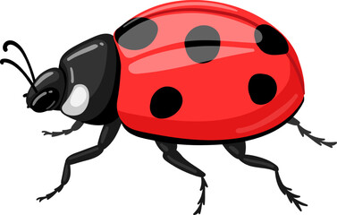 Ladybug cartoon character with red body and black spots isolated