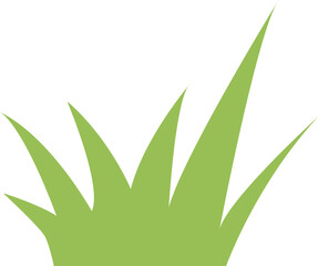 Green stylized grass blades growing on white background