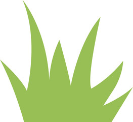 Green grass blades growing isolated on white