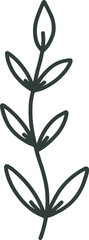 Hand drawn plant stem with simple leaves