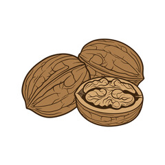 Walnut