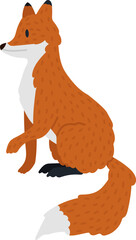 Red fox in a sitting pose, facing left