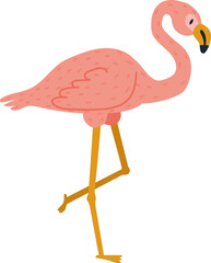 Pink flamingo bird standing on one leg illustration