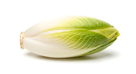 A single belgian endive isolated on white background