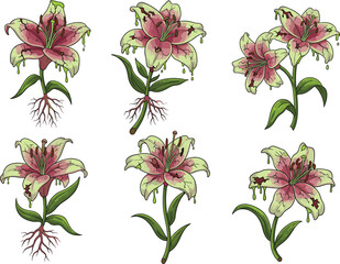 Creepy zombie flowers with dripping petals, horror plant design, spooky undead blossoms vector illustration for Halloween, fantasy botanical artwork for dark theme