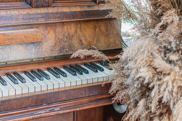 Close-up view of an antique, dark brown piano with open lid, revealing strings and soundboard Foreground has dried flowers or foliage Indoor setting with soft, diffused light Realistic style focus