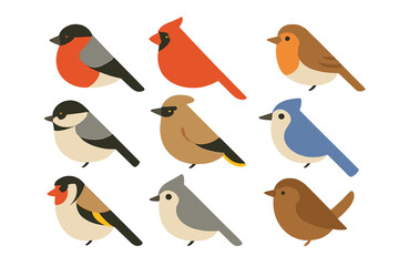 Colorful collection of birds perched in a playful arrangement during a sunny afternoon