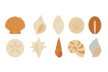 Seashell collection featuring various shapes and colors on a neutral background